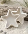 Starfish Concrete Bowl