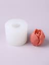 Tulip Mould